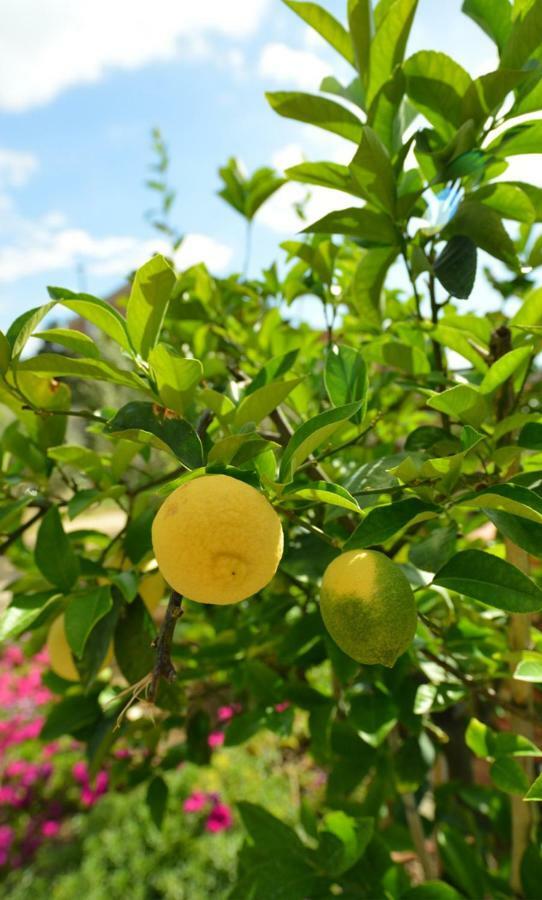 Podere Chiocciola Poggibonsi Dış mekan fotoğraf